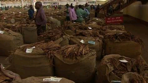 Americans ban  tobacco from Malawi