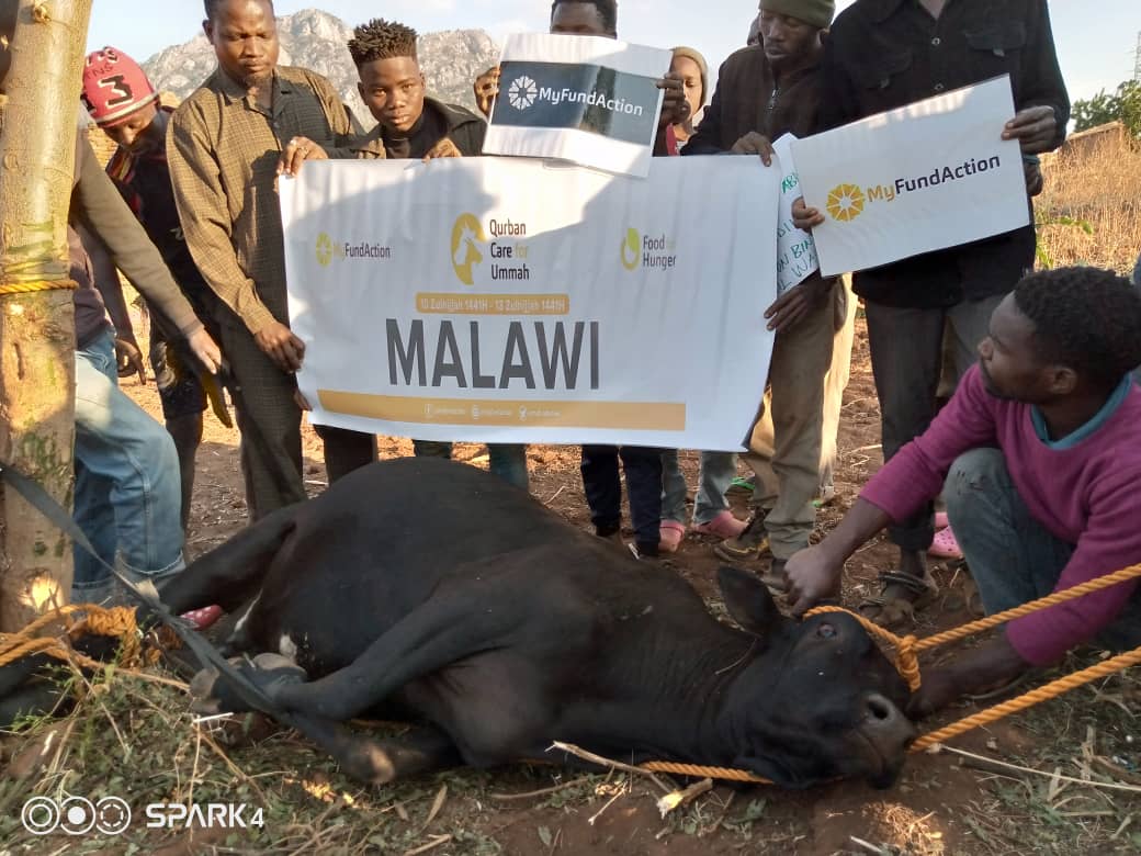 Al-Azhar Graduates in Malawi Collaborate  with  MyfundAction in Qur'bani  Meat Distribution Program
