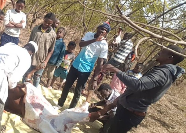 Muslim Youths Challenged to take Part in Qurbani Project