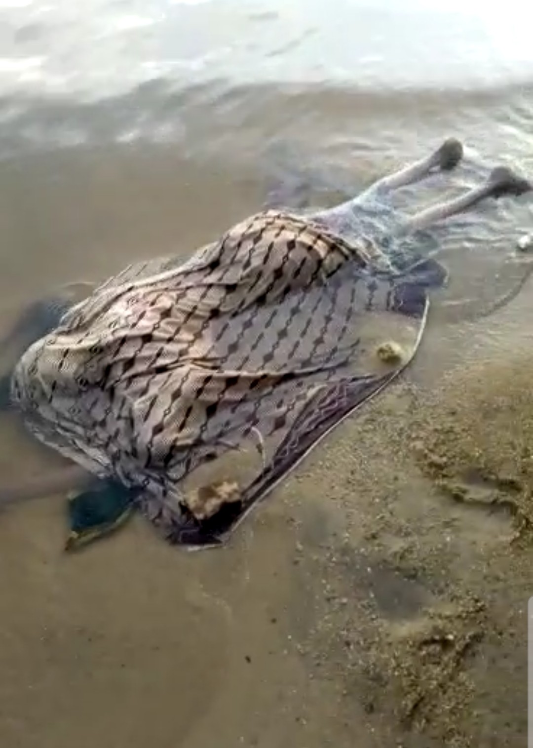 Woman commits suicide along with her Daughter