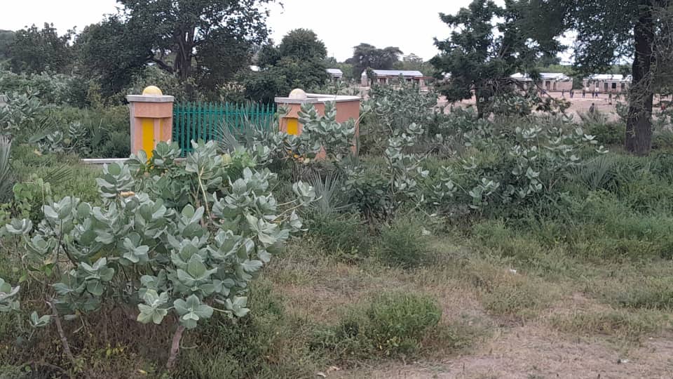 Broken Trust: How Lack Of Transparency Derailed The Mufti-Abbas University Dream